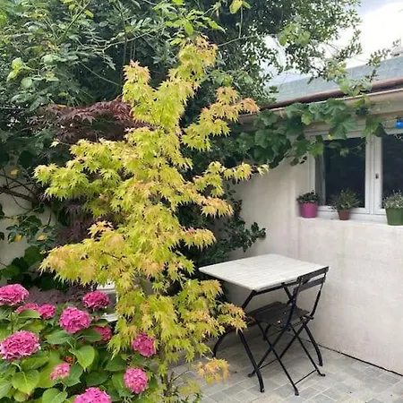 Charmant Studio Hébergement de vacances Arcueil
